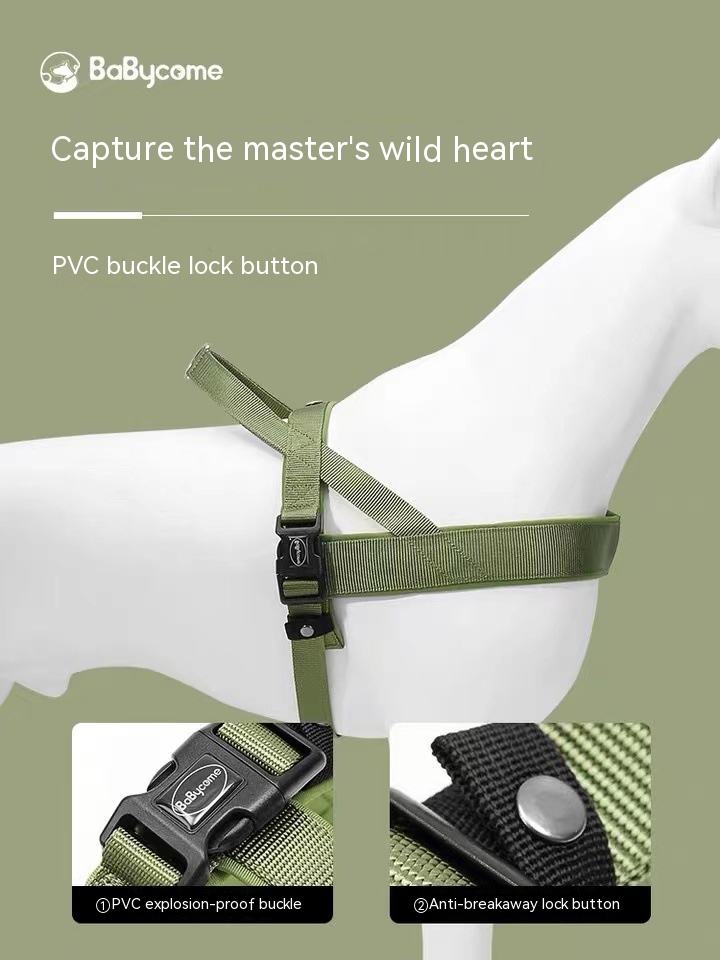 Harness Image 3