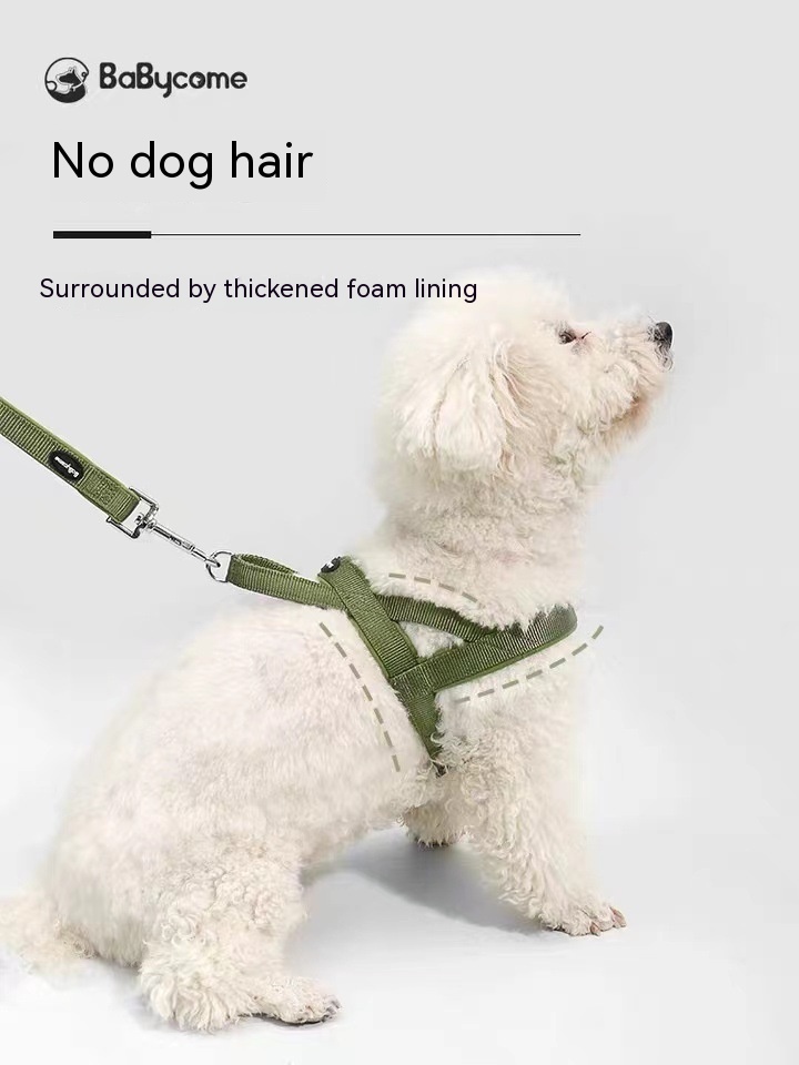 Harness Image 4