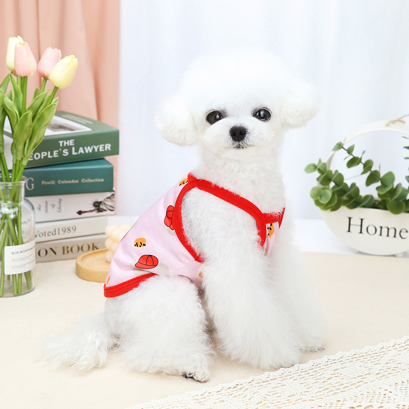 Teddy Red Riding Hood Bear Sling Image 7