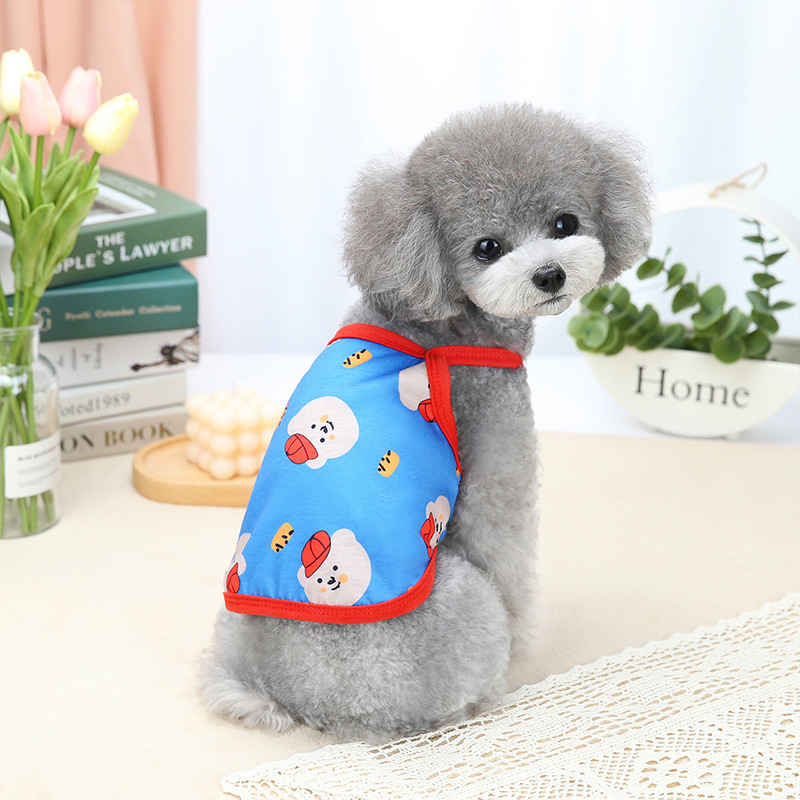 Teddy Red Riding Hood Bear Sling Image 2