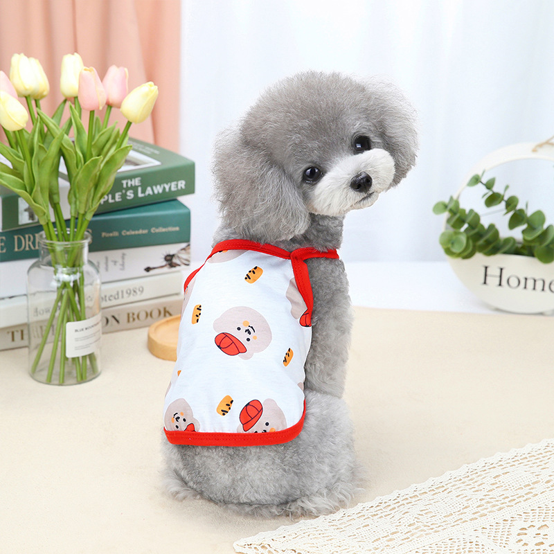 Teddy Red Riding Hood Bear Sling Image 1