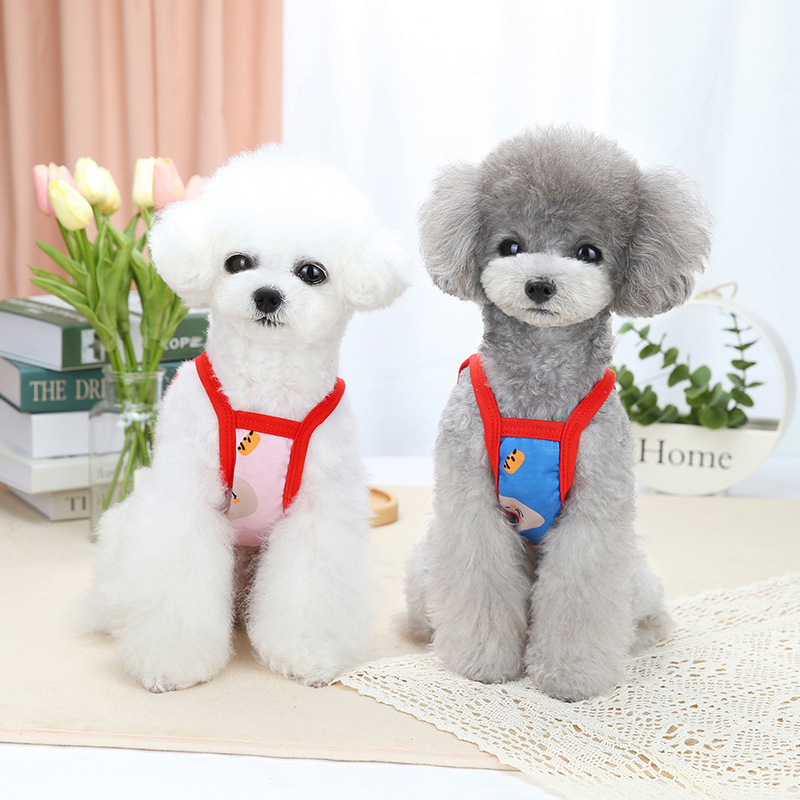 Teddy Red Riding Hood Bear Sling Image 6
