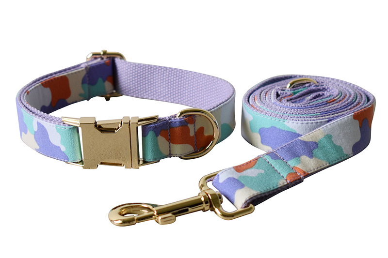 Stylish Dog Leash