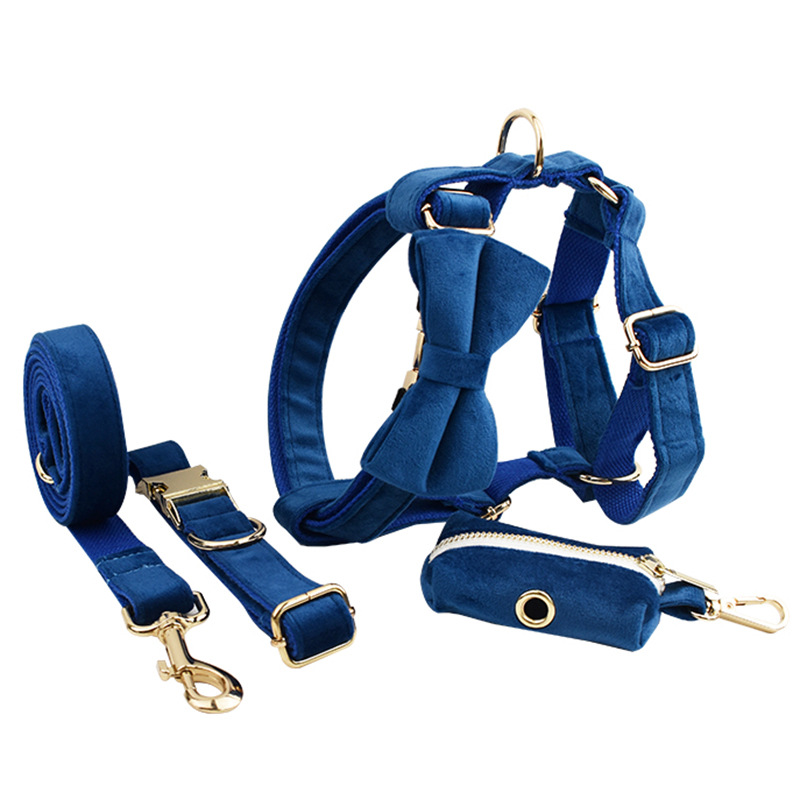 Collar on Dog