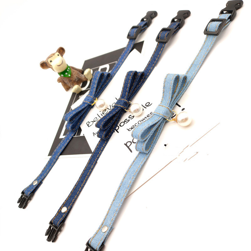 Cat with Denim Collar