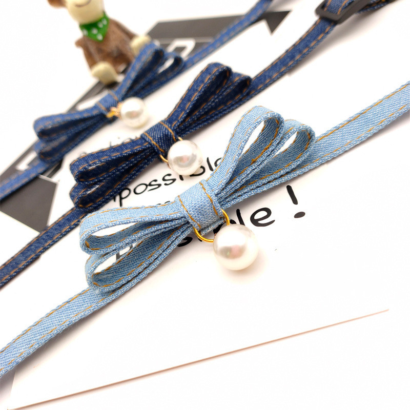 Dog with Denim Collar