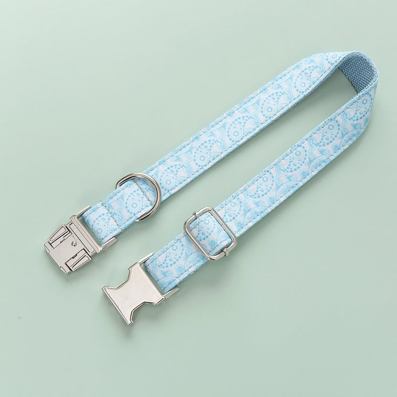 Dog Collar with Zinc Alloy Buckle