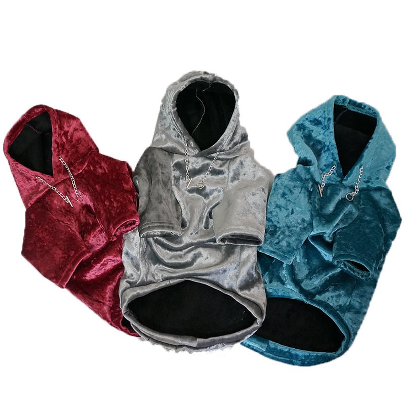 Small Dog Hoodie 1