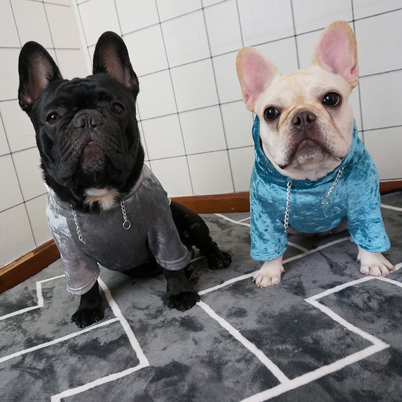 Small Dog Hoodie 3