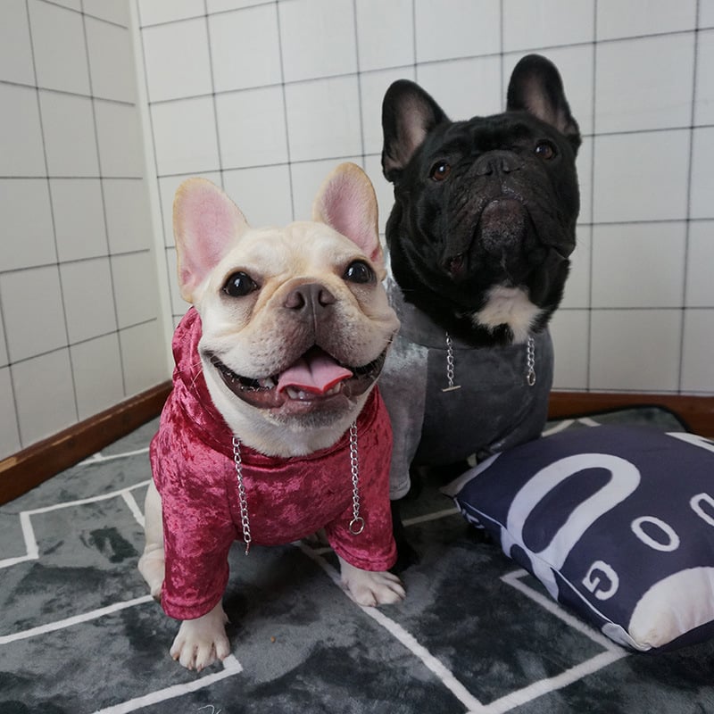 Small Dog Hoodie 6