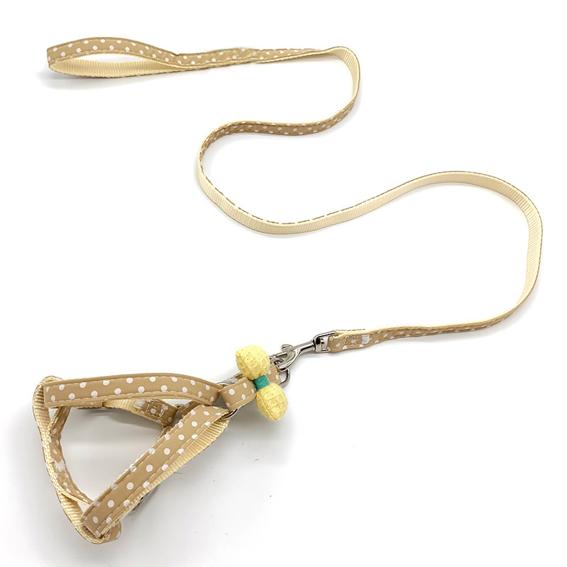 Dog Leash 5