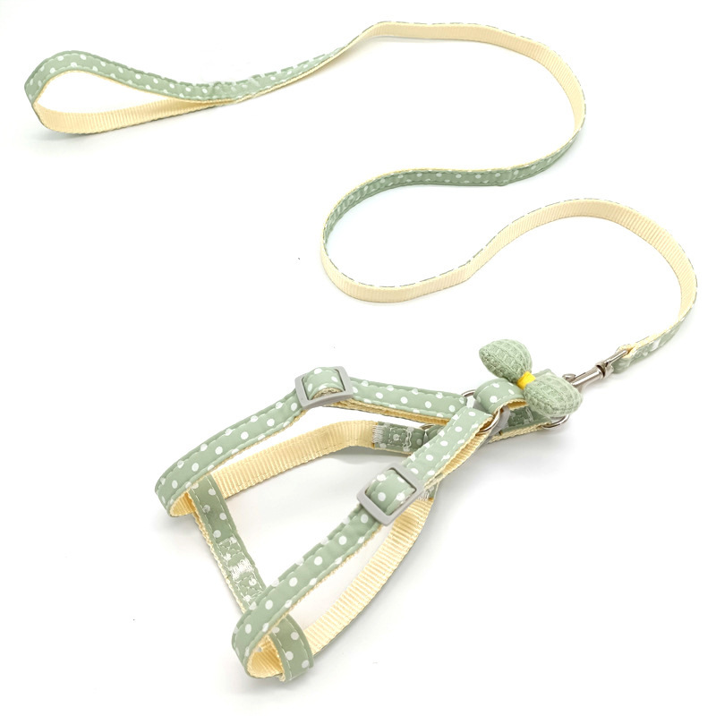 Dog Leash 6
