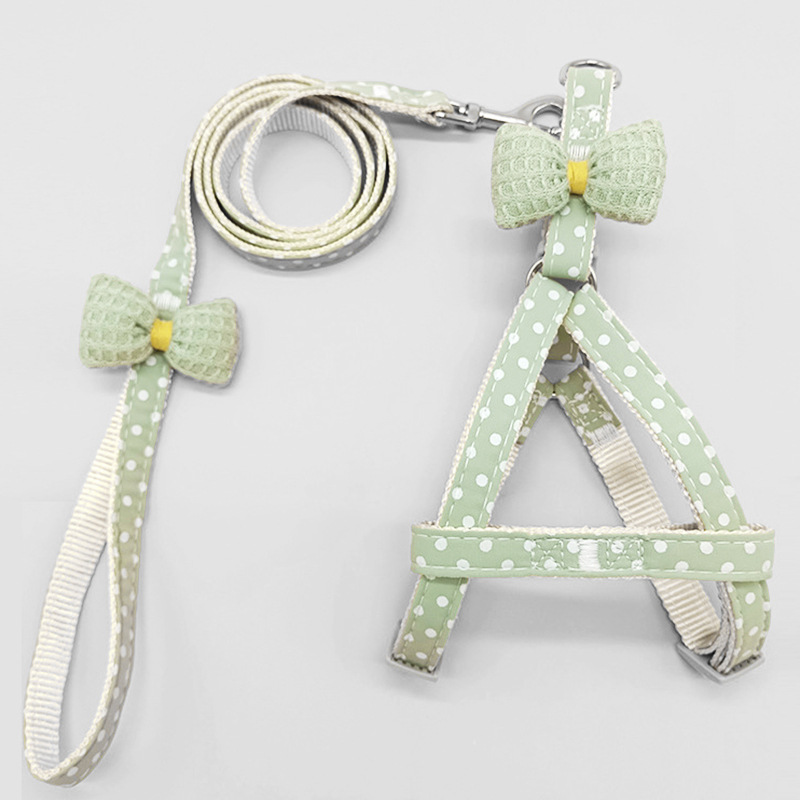 Dog Leash 4