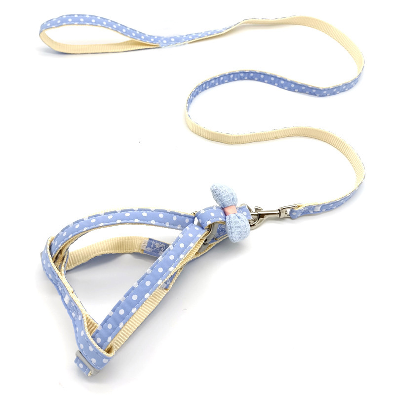 Dog Leash 2