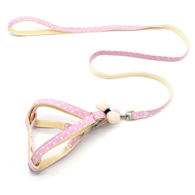 Dog Leash 1