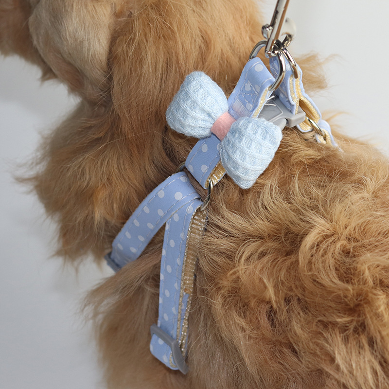 Dog Leash 3