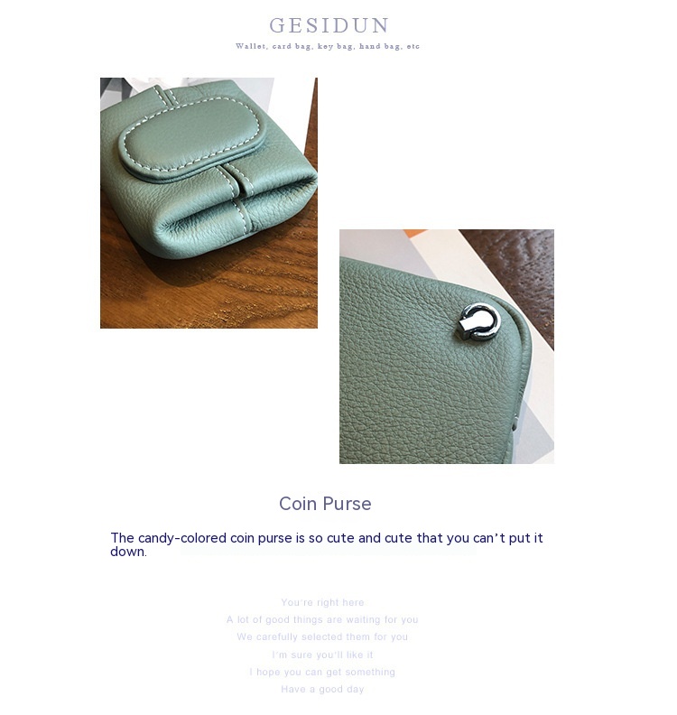 Coin Purse Image 2