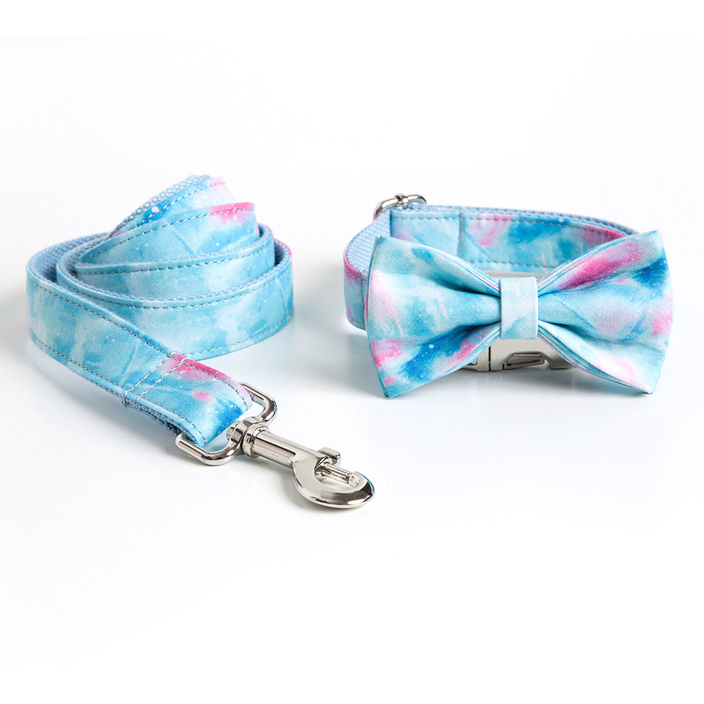 Dog wearing custom collar