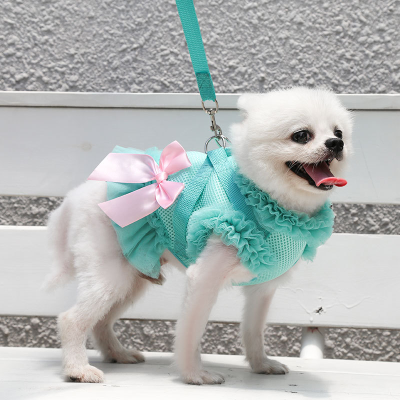 Dog with chest strap