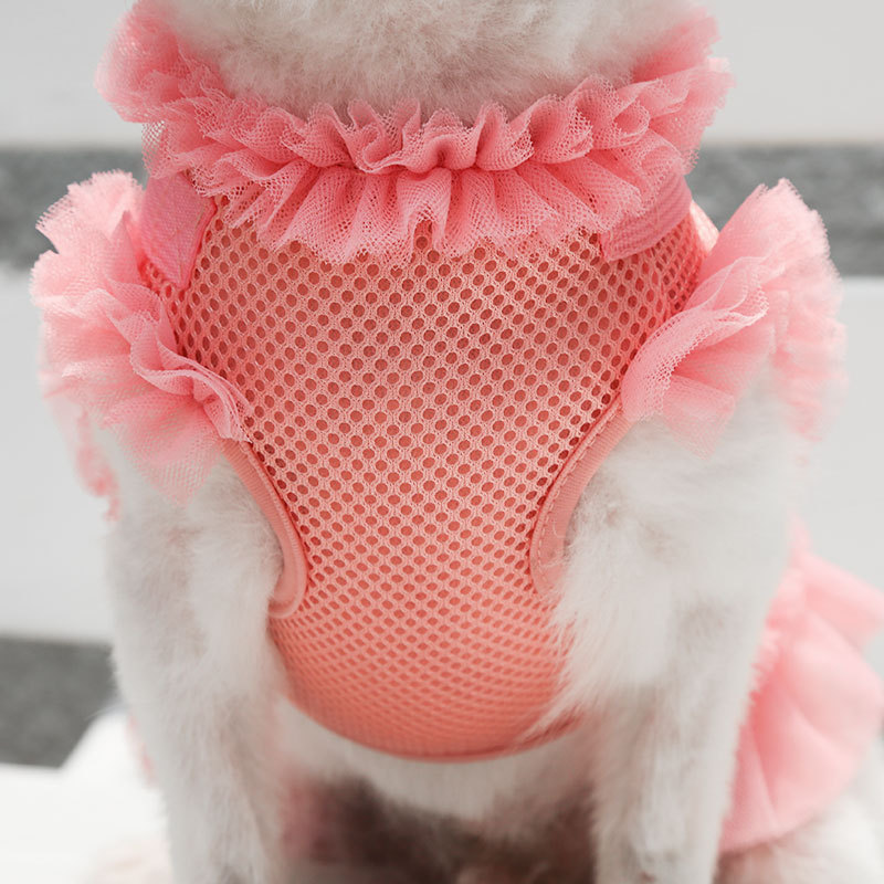 Stylish dog outfit