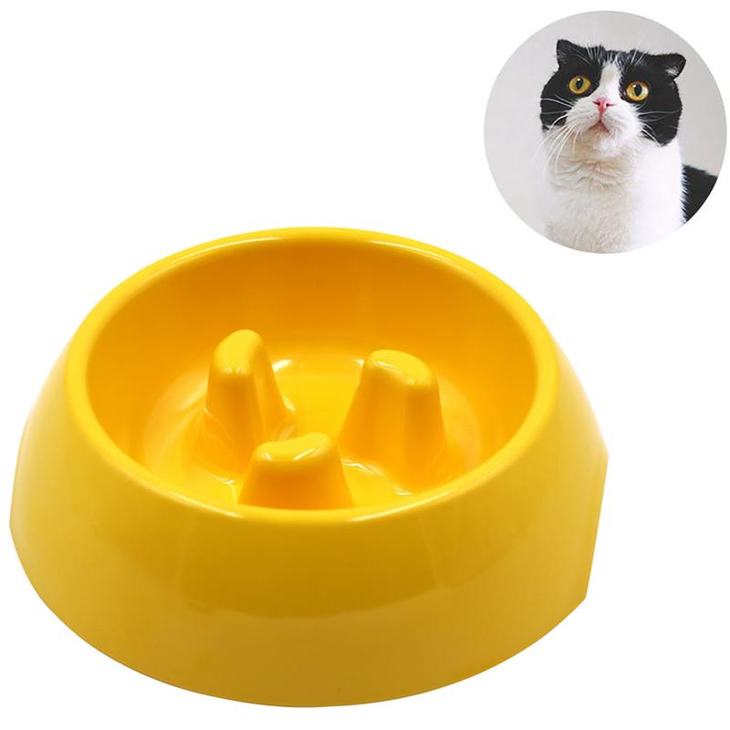 Pet Slow Food Bowl in Use