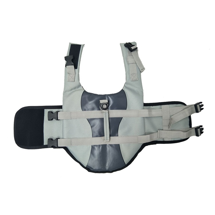 Pet life jacket during swimming