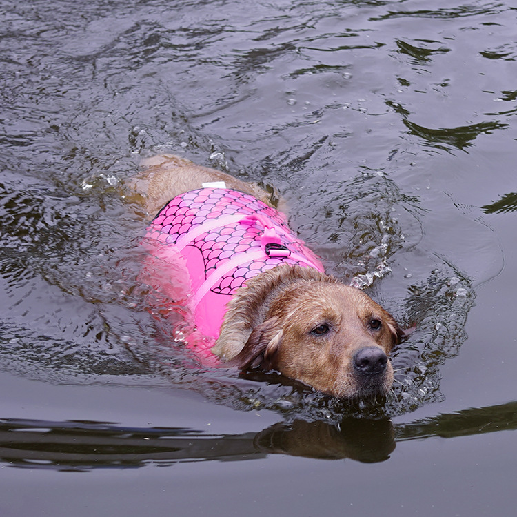 Adjustable pet life jacket