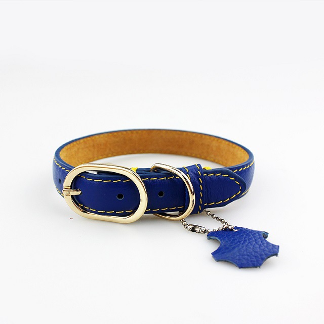 Leather Collar 6