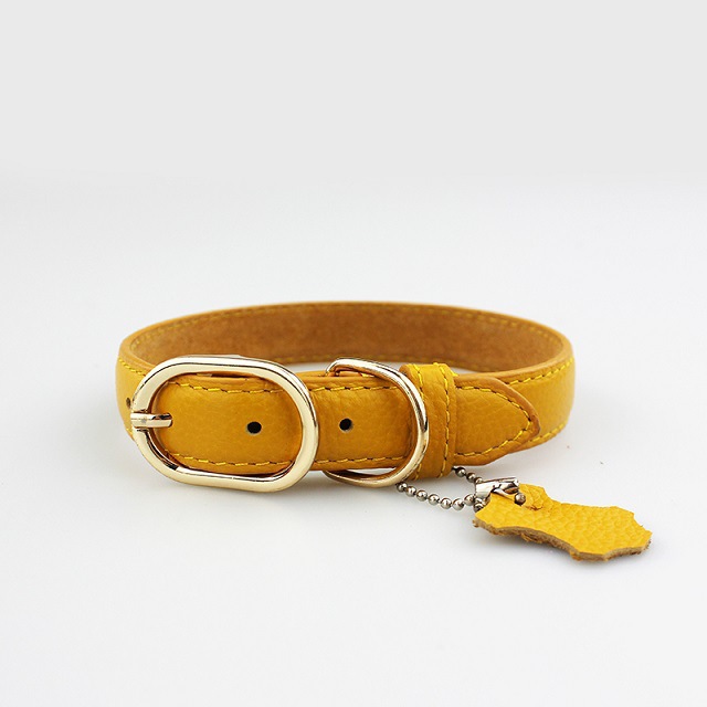Leather Collar 4