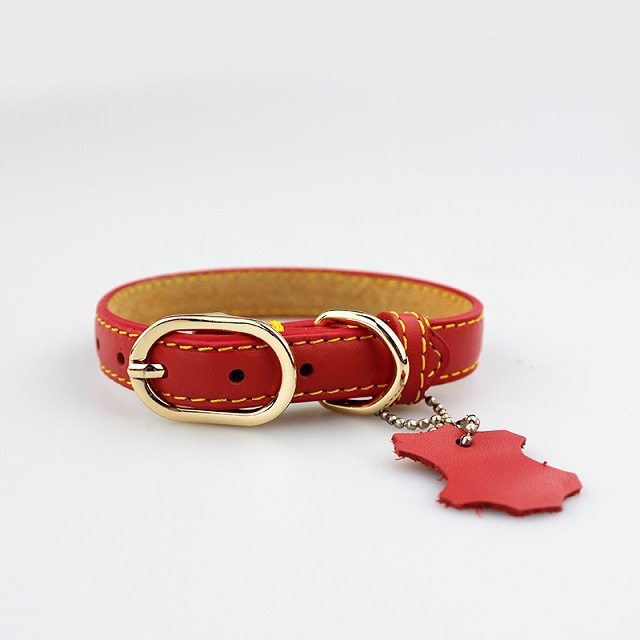 Leather Collar 5