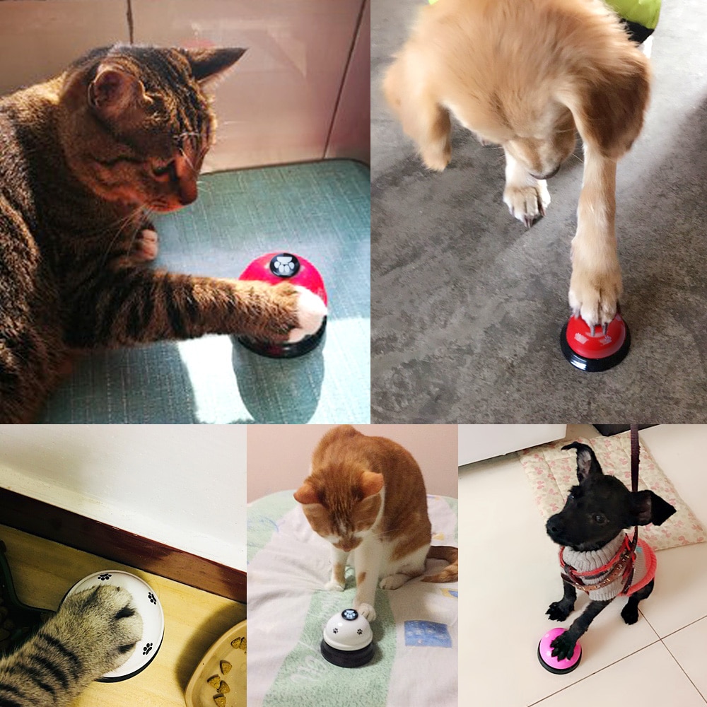 Dog Training Bell 2