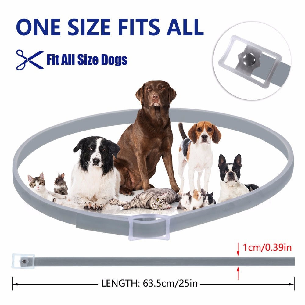 Dog Collar Image 4