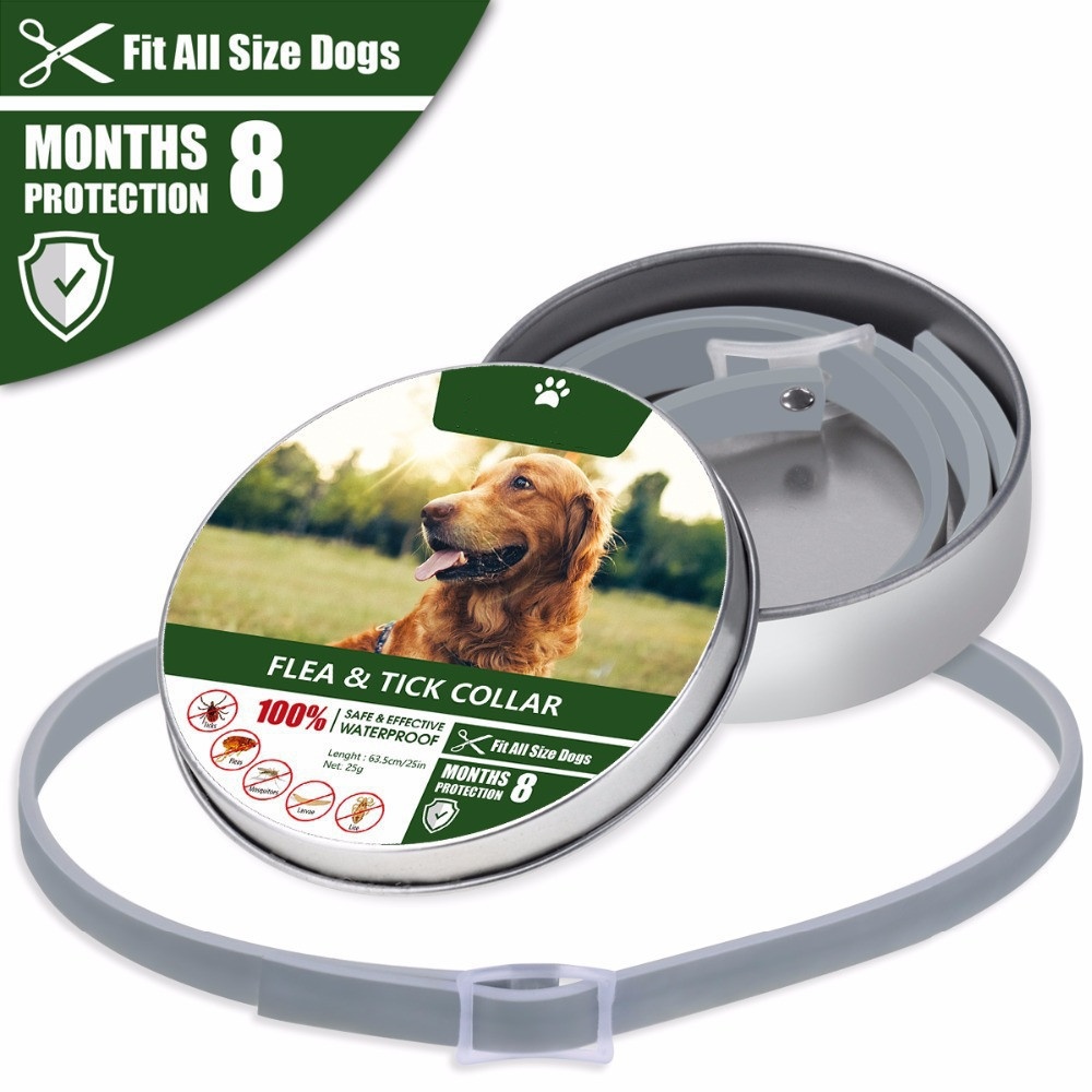 Dog Collar Image 1