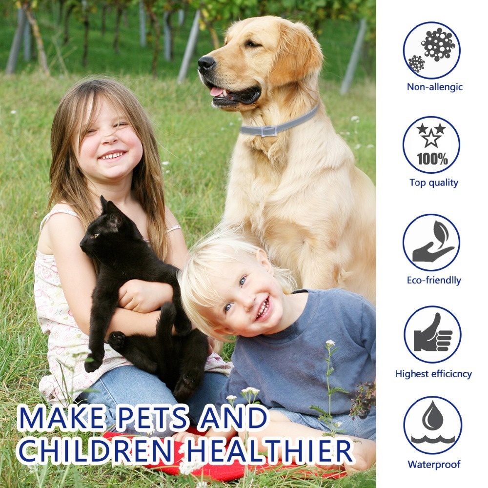 Dog Collar Image 5