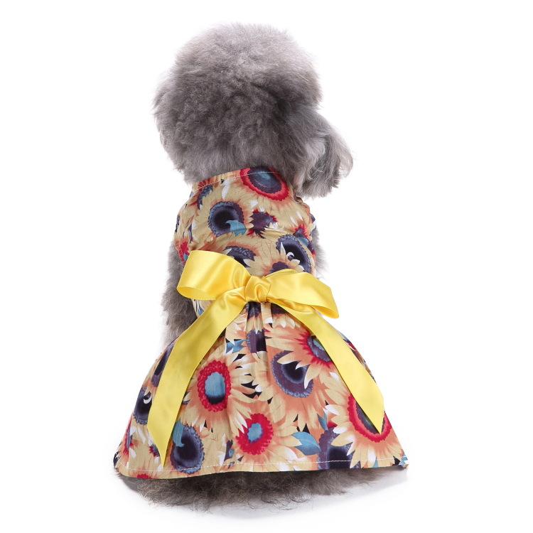 Fashionable Dog Clothes
