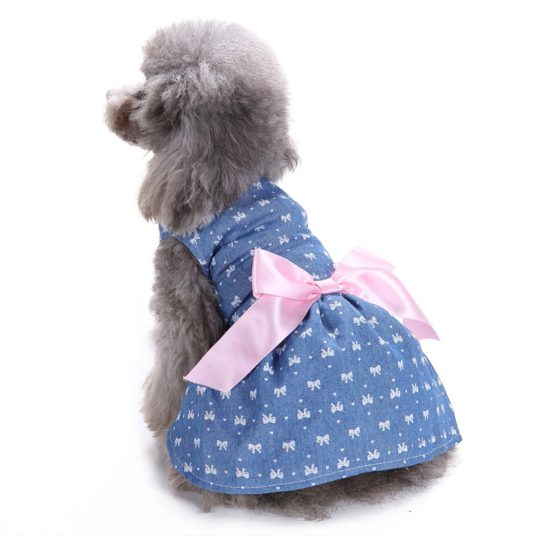 Pet Fashion