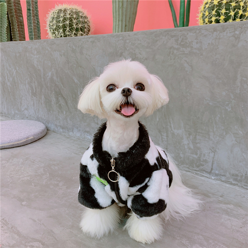 Cartoon Pet Clothes - Image 3