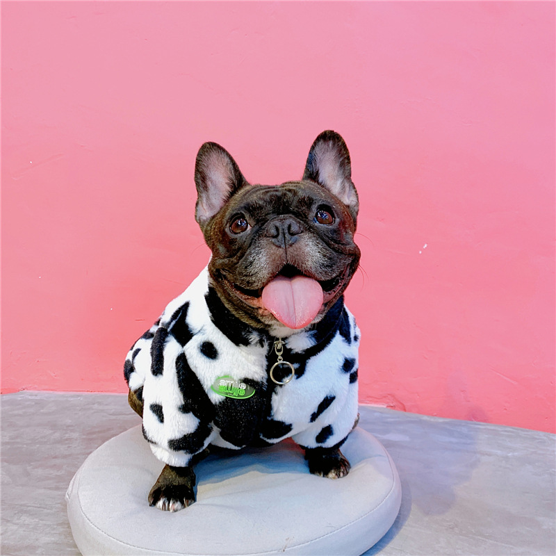Cartoon Pet Clothes - Image 4