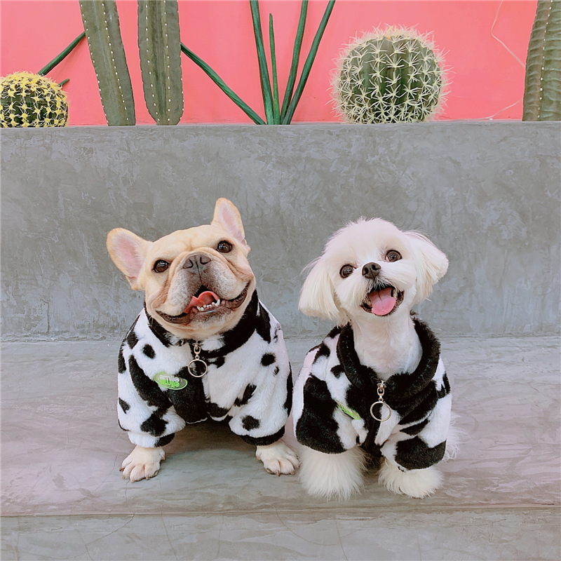 Cartoon Pet Clothes - Image 2