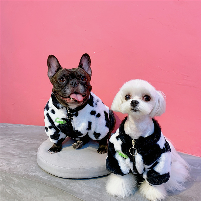 Cartoon Pet Clothes - Image 1
