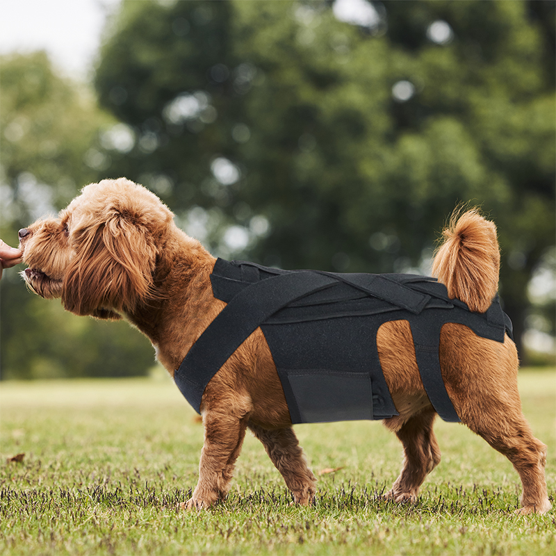 Comfortable Dog Vest