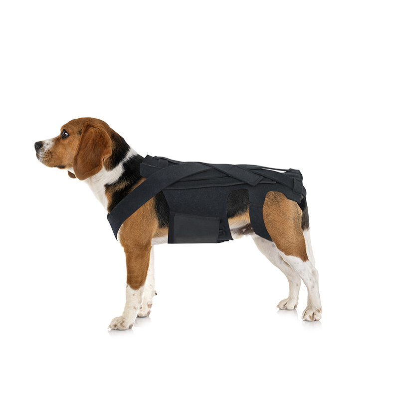 IVDD Dog Support Harness