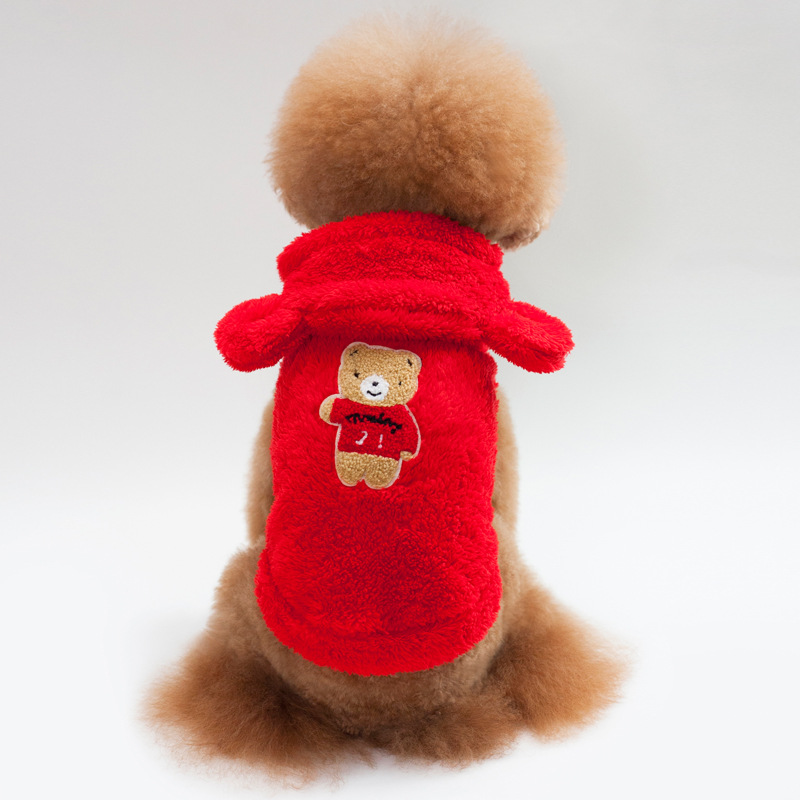 Teddy Bichon Small Dog Clothes 7