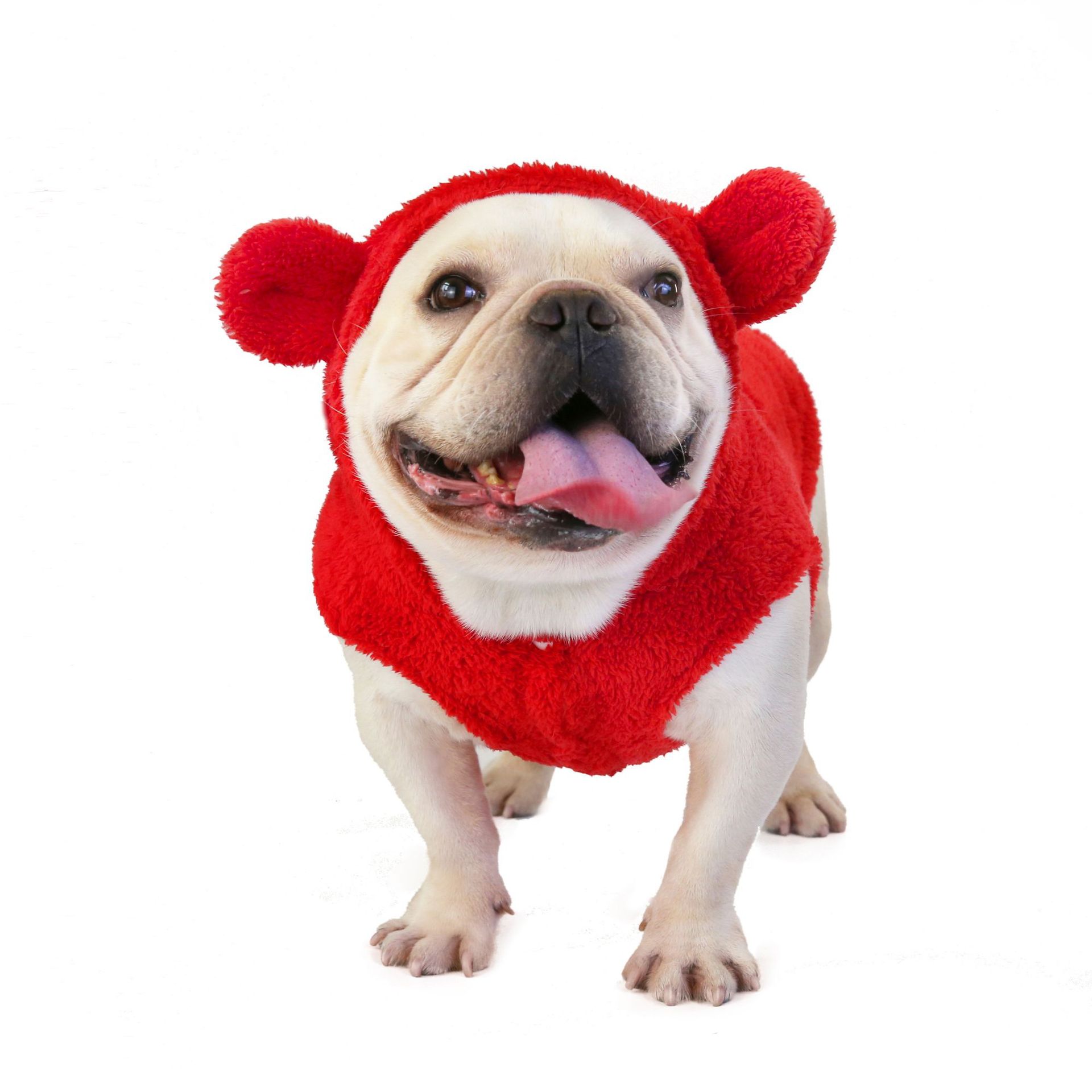 Teddy Bichon Small Dog Clothes 8