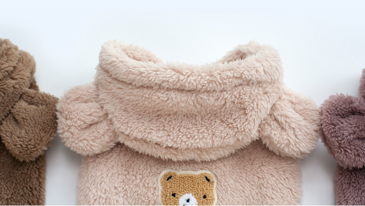 Teddy Bichon Small Dog Clothes 14