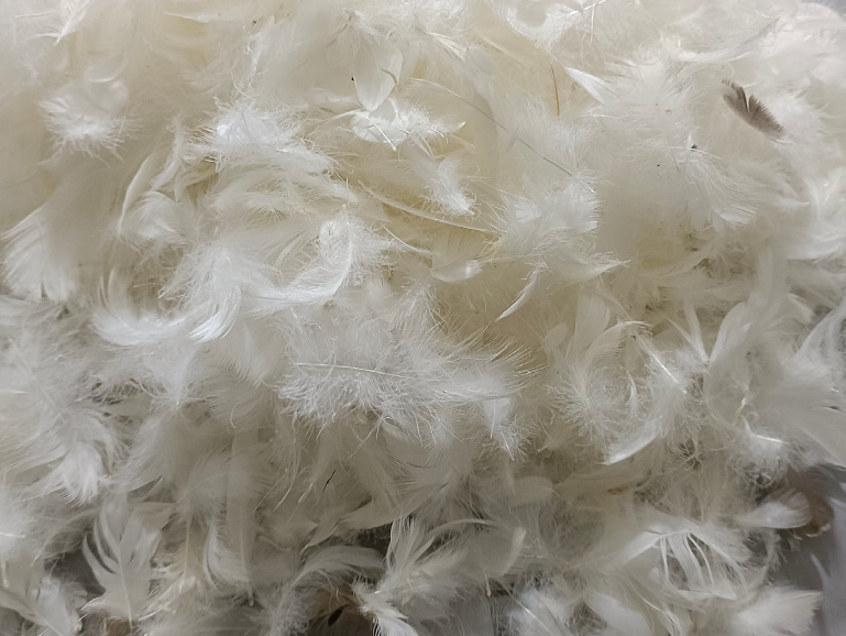 Premium White Goose Feather Pillow Set Up