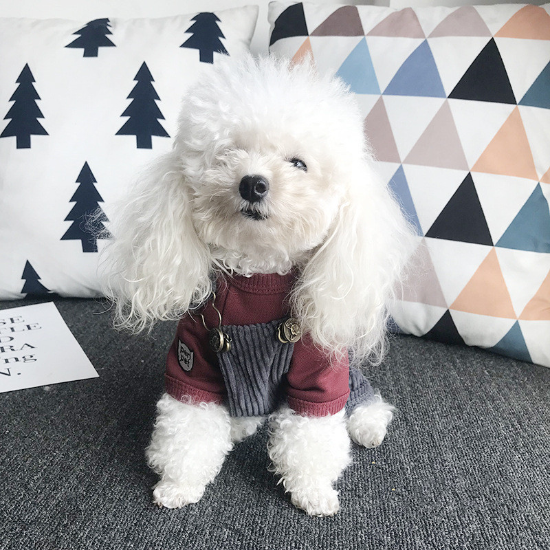 Comfortable Pet Overalls