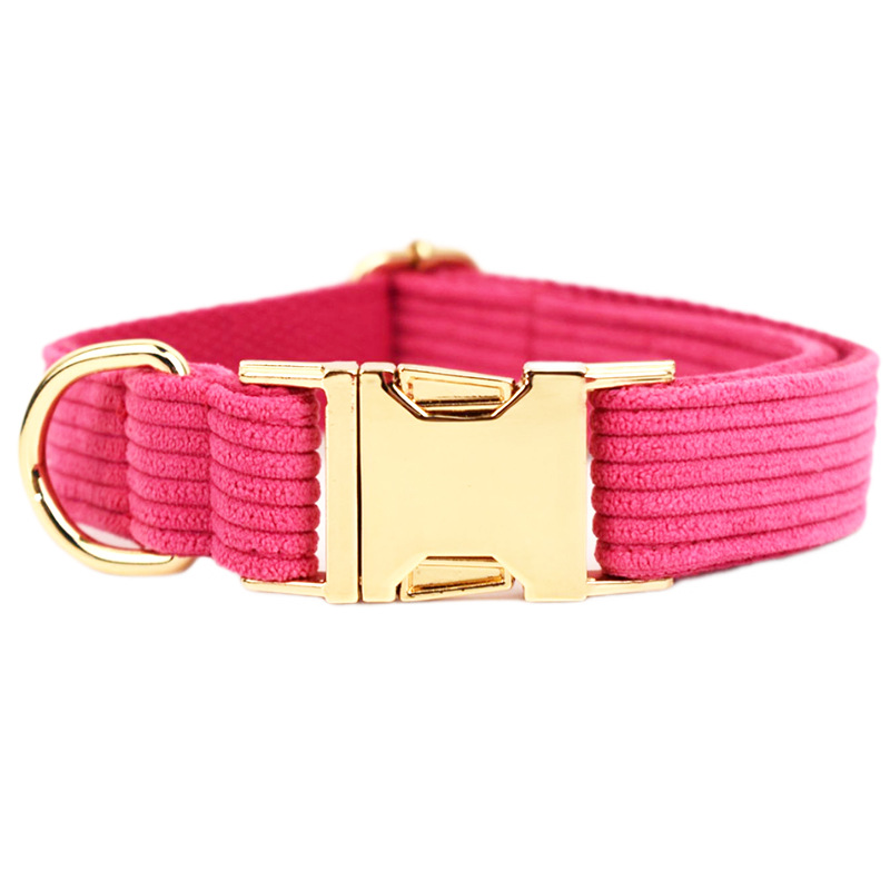 Collar on Dog