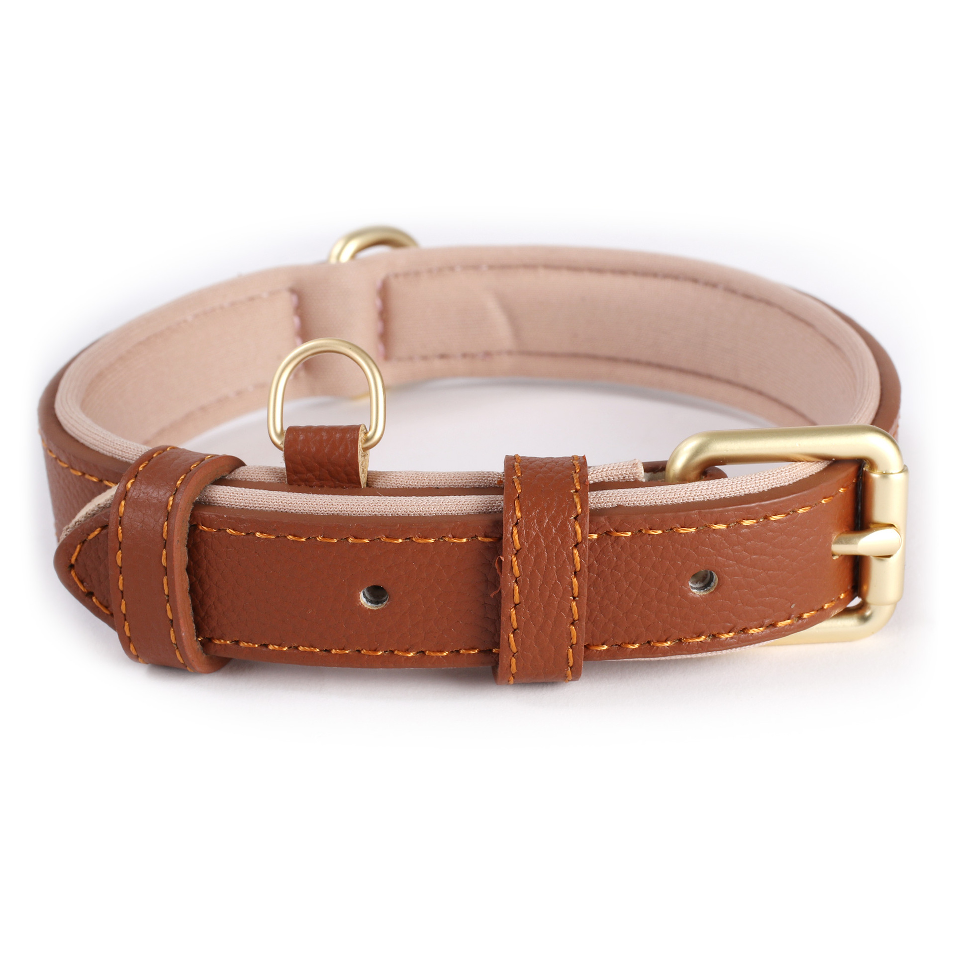 Dog Collar Image 10