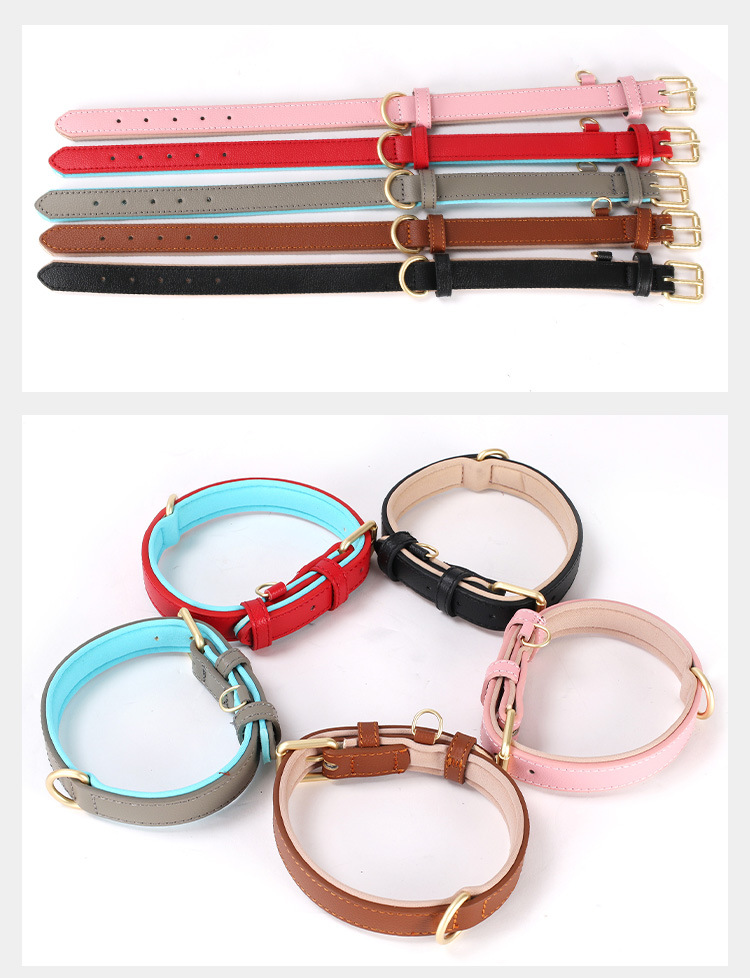 Dog Collar Image 3